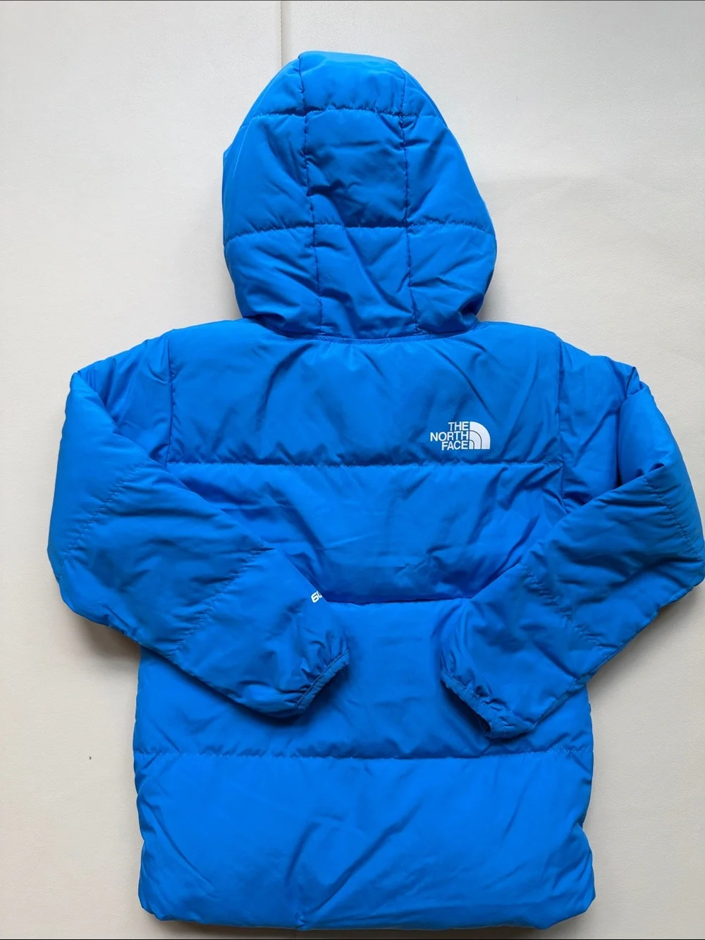 The North Face Boys Moondoggy 600-Fill Down Heavyweight Puffer Jacket Blue